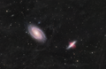 Bode's Galaxy and the Cigar Galaxy