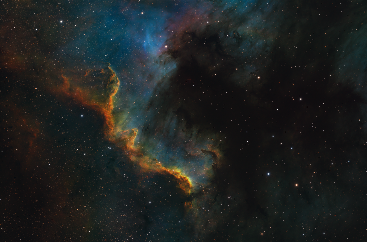 The Cygnus Wall